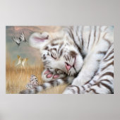 White Tiger Dreams Fine Art Poster/Print Poster (Vorne)