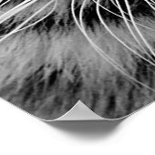 White Tiger Face Print Poster (Ecke)