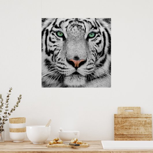 White Tiger Face Print Poster (Küche)