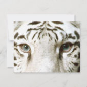 White Tiger Feng Shui Einladung ~ EZ2 Customizing (Vorderseite)