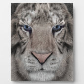White Tiger Fotoplatte (Vorderseite)