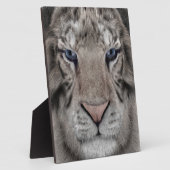White Tiger Fotoplatte (Seite)