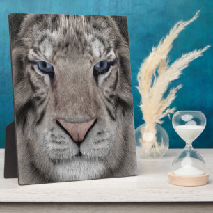 White Tiger Fotoplatte
