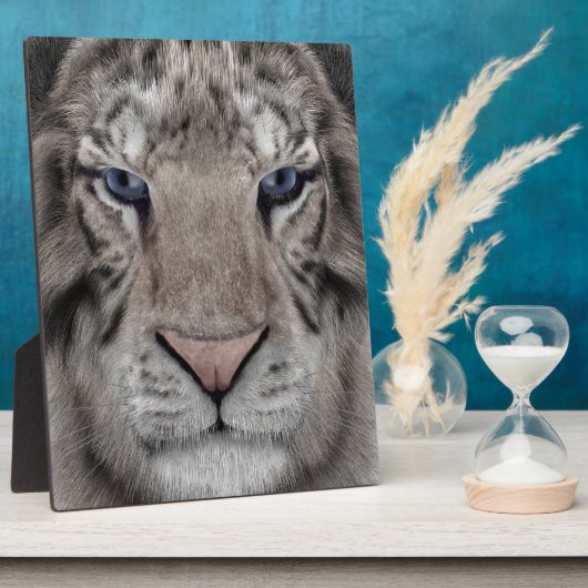 White Tiger Fotoplatte (Seite)