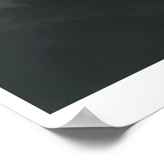 White Tiger – Frost King Ice Burst Descent – ManJi Poster (Ecke)