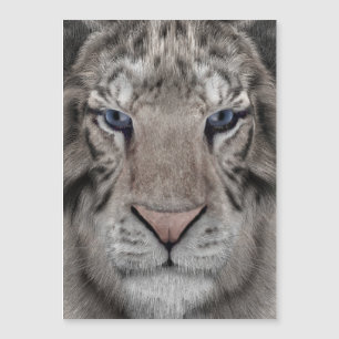 white_tiger_head magnetkarte