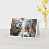 White Tiger Karte (Gelbe Blume)