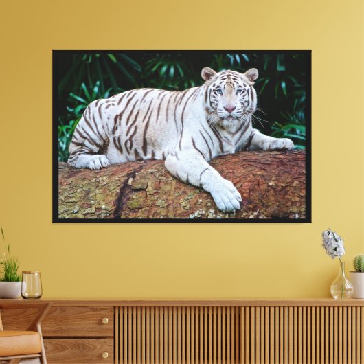 White Tiger Leinwanddruck (Insitu (Wohnzimmer))