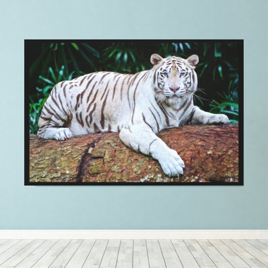 White Tiger Leinwanddruck (Insitu (Holzboden))
