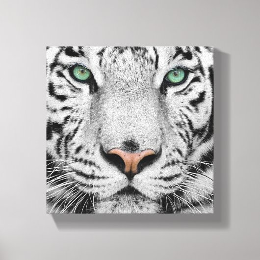 White Tiger Leinwanddruck (Vorderseite)