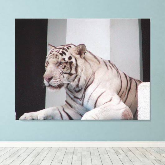 White Tiger Leinwanddruck (Insitu (Holzboden))