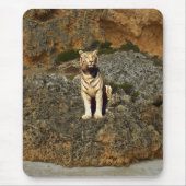 White Tiger Lookout, Mousepad (Vorne)