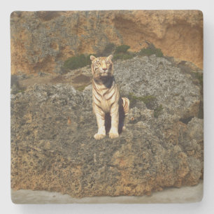 White Tiger Lookout, Steinuntersetzer