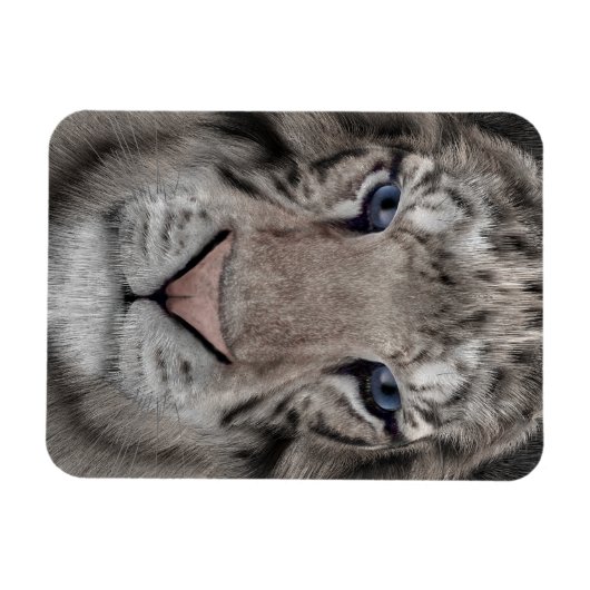 White Tiger Magnet (Horizontal)