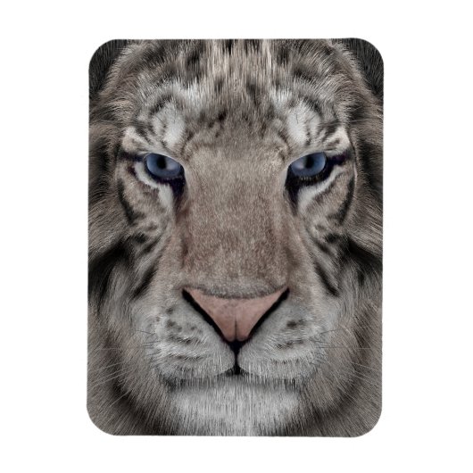 White Tiger Magnet (Vertikal)
