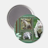 White Tiger Magnet (Vorderseite/Rückseite)