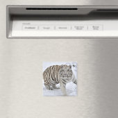 White Tiger Magnet (In Situ (Geschirrspüler))