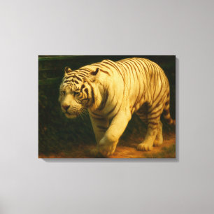 White Tiger Majestät - Stilvolle Wildlife Art Prin Leinwanddruck