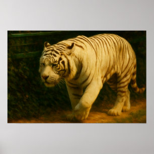 White Tiger Majestät - Stilvolle Wildlife Art Prin Poster