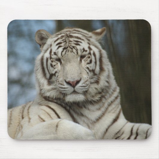 White Tiger Mousepad (Vorne)