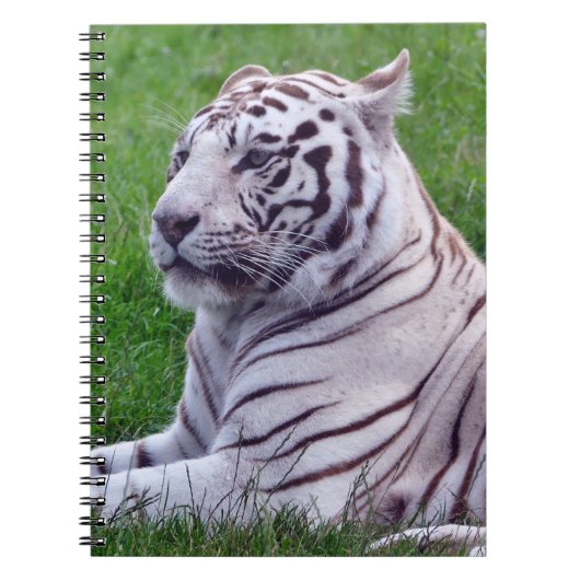 White Tiger Notizblock (Vorderseite)