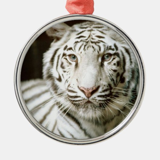 White Tiger Ornament Aus Metall (Vorne)