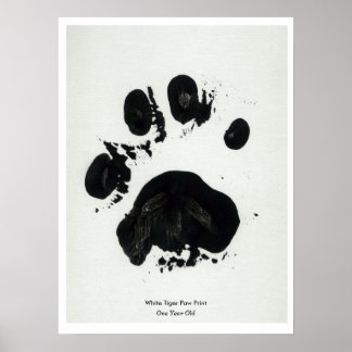 White Tiger Paw Print Poster