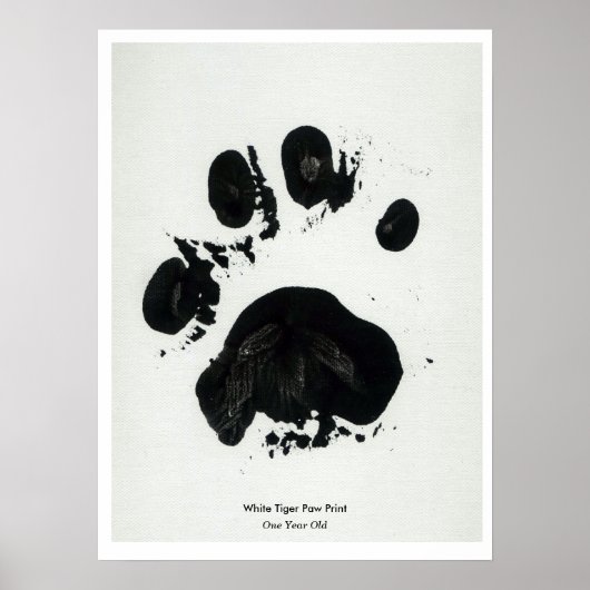 White Tiger Paw Print Poster (Vorne)