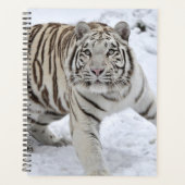 White Tiger Planer (Vorderseite)