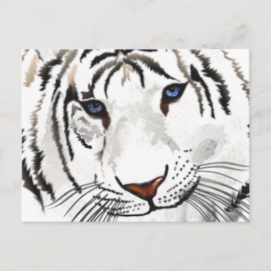 White Tiger Post Card Postkarte (Vorderseite)