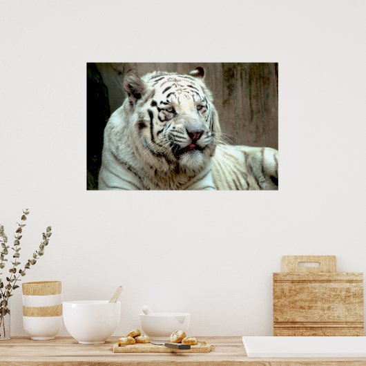 White Tiger Poster (Küche)
