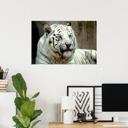 White Tiger Poster (Heimbüro)