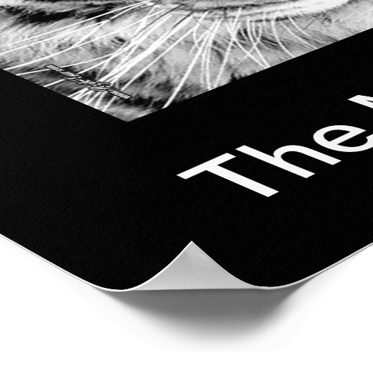 White Tiger Poster (Ecke)