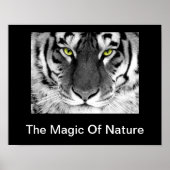 White Tiger Poster (Vorne)