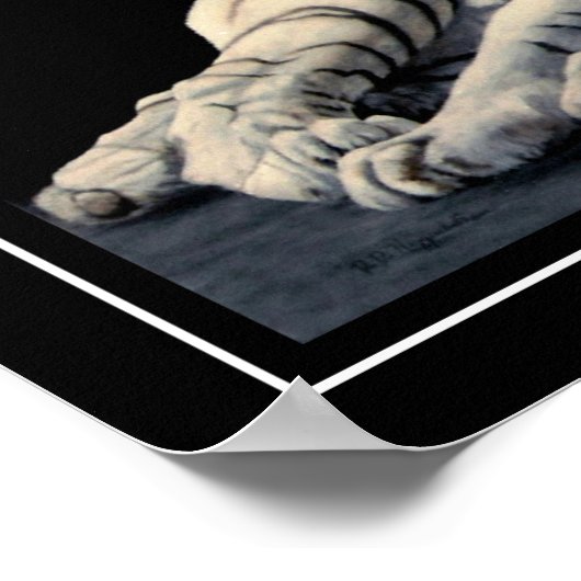 White Tiger Poster (Ecke)
