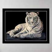 White Tiger Poster (Vorne)