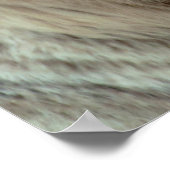 White Tiger Poster (Ecke)