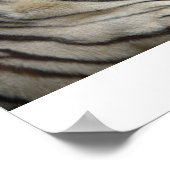 White Tiger Poster (Ecke)