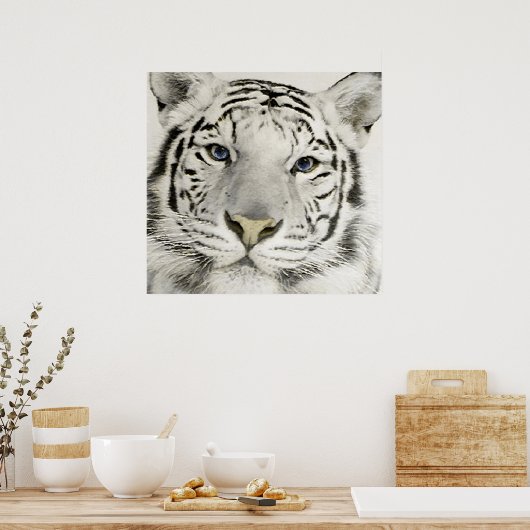 White Tiger Poster (Küche)