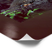 White tiger poster (Ecke)