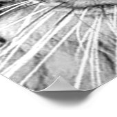 White Tiger Poster Eyes (Ecke)