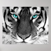 White Tiger Poster Eyes (Vorne)