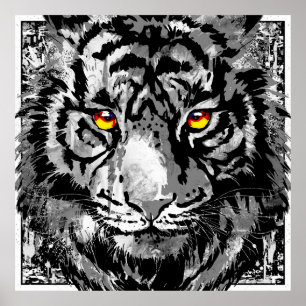 White Tiger Poster - Tiger Kopf Kunstdrucken