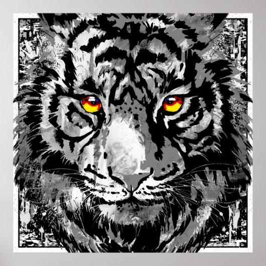 White Tiger Poster - Tiger Kopf Kunstdrucken (Vorne)