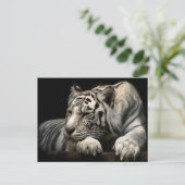 White Tiger Postkarte (Stehend Vorderseite)