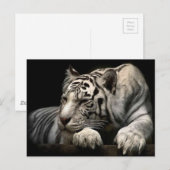 White Tiger Postkarte (Vorne/Hinten)
