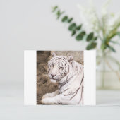 White Tiger Postkarte (Stehend Vorderseite)