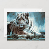 White Tiger Postkarte (Vorne/Hinten)