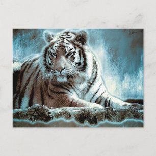 White Tiger Postkarte