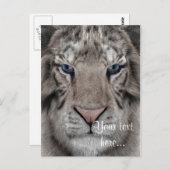 White Tiger Postkarte (Vorne/Hinten)